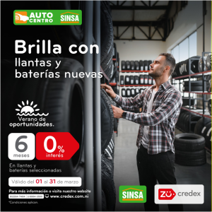 2026.03 CREDEX - BateriasSINSA Arte