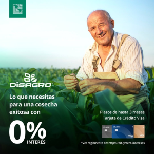 Negocios y Finanzas
